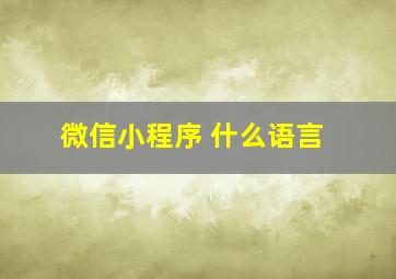 微信小程序 什么语言